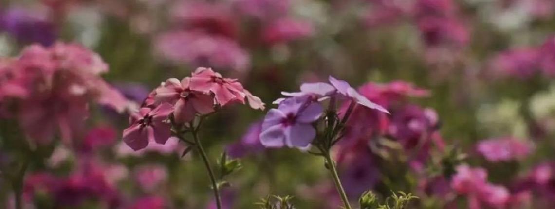 Primavera começa com chegada de frente fria, temporais e fortes ventos