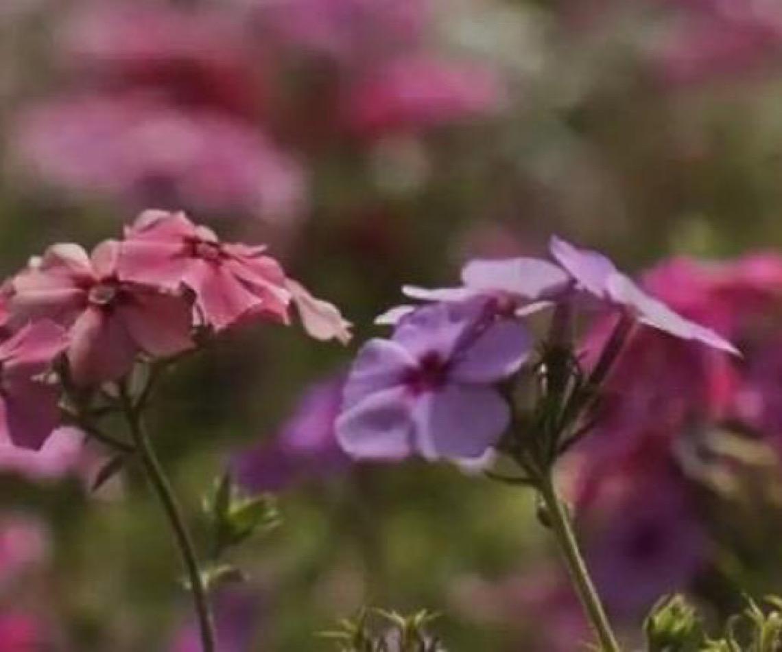 Primavera começa com chegada de frente fria, temporais e fortes ventos
