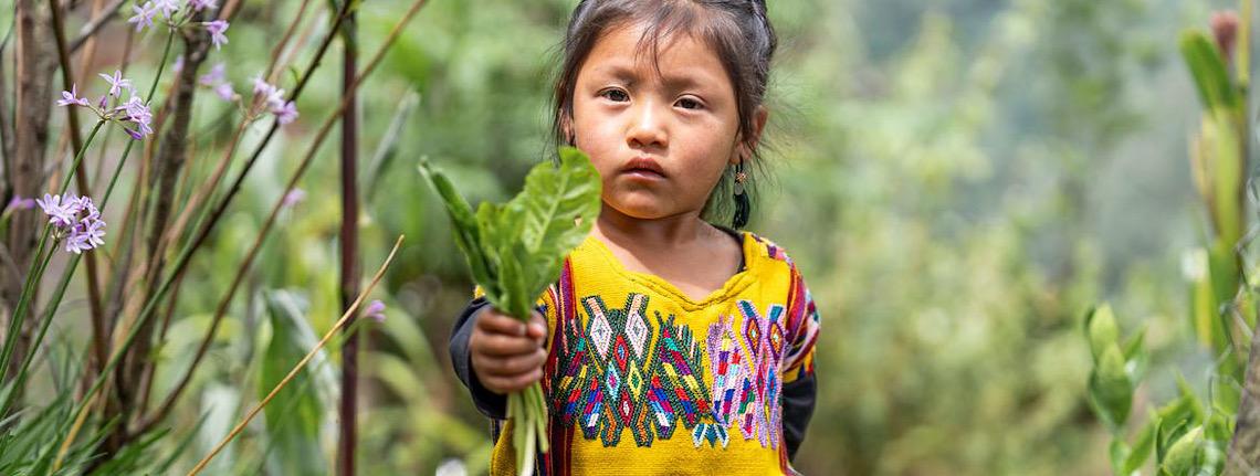 Dia Mundial da Vida Selvagem 2026 destaca plantas medicinais e aromática