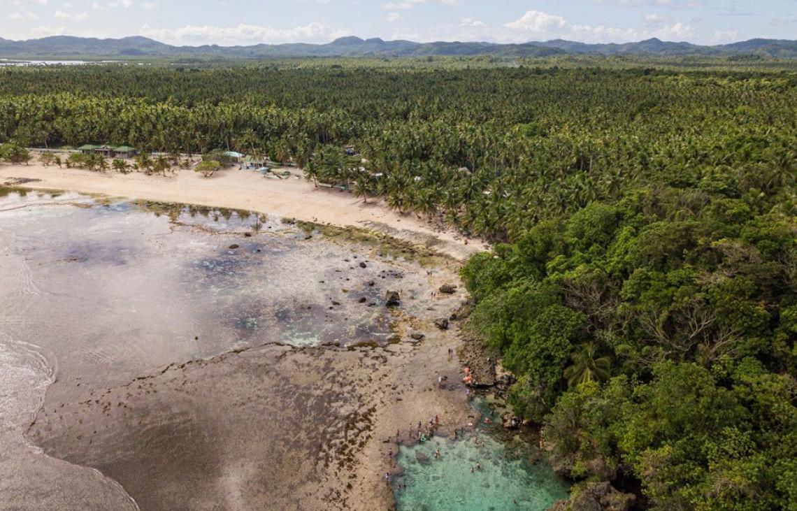 Brasil pode suprir demanda por bioenergia sem desmatar, aponta estudo