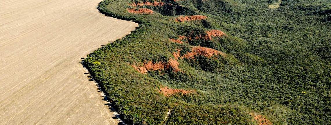 Agro defende derrubada de vetos do licenciamento ambiental às vésperas da COP30