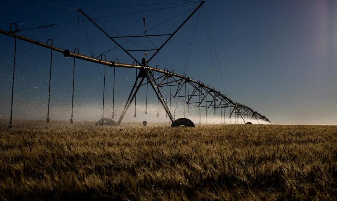 STF retoma julgamento sobre benefícios fiscais para agrotóxicos