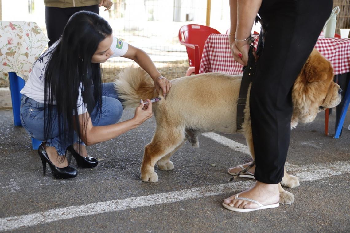 Vacinação antirrábica terá mais de 100 postos neste sábado (18)