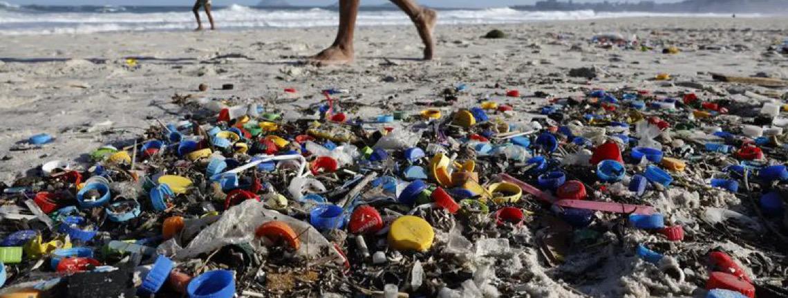 Reunião no Brasil impulsiona ações contra poluição por plásticos