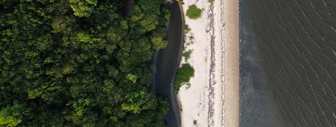 “Não existe Planeta B”, alerta astrofísico às vésperas da COP30 