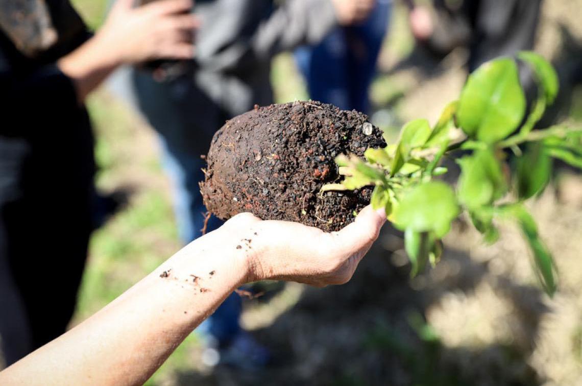 Comuá pelo Clima: Plataforma reúne soluções locais que enfrentam os impactos da crise climática no Brasil