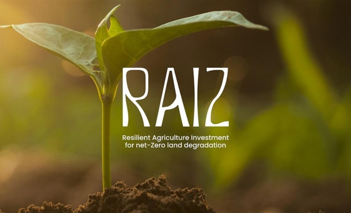 Brasil lança iniciativa global para recuperação de áreas degradadas durante a COP 30