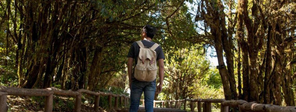 Ministério do Turismo fortalece ações em Parques Nacionais para promover o turismo sustentável