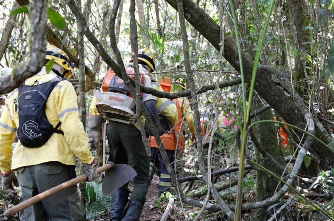 Projeto SEMFOGO-DF II amplia o monitoramento inteligente de incêndios florestais no Cerrado
