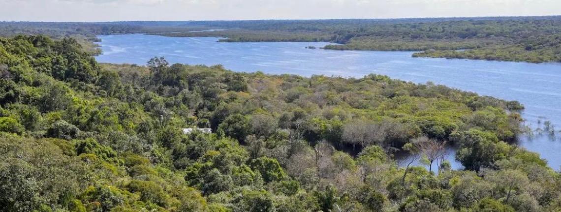 Revista The Economist elogia ações do Brasil para salvar as florestas