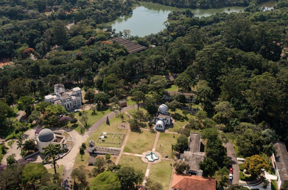 Projeto quer levar mata atlântica para o centro da cidade de São Paulo