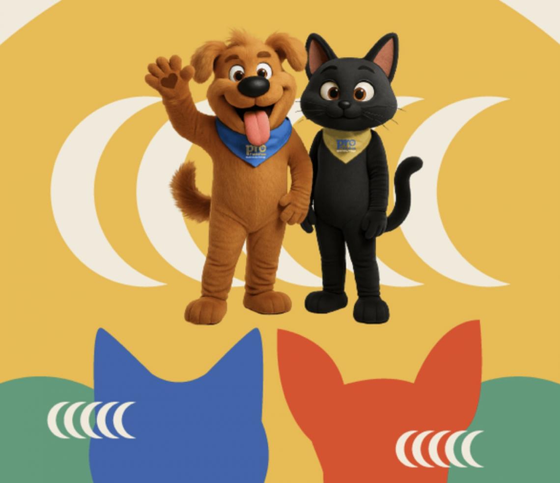 MMA e instituições de ensino superior do DF irão microchipar 10 mil cães e gatos de graça em novembro