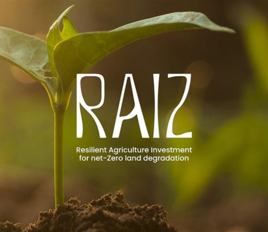 Brasil lança iniciativa global para recuperação de áreas degradadas durante a COP 30