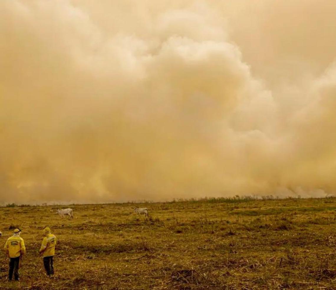 Calor já mata meio milhão de pessoas por ano, alertam cientistas