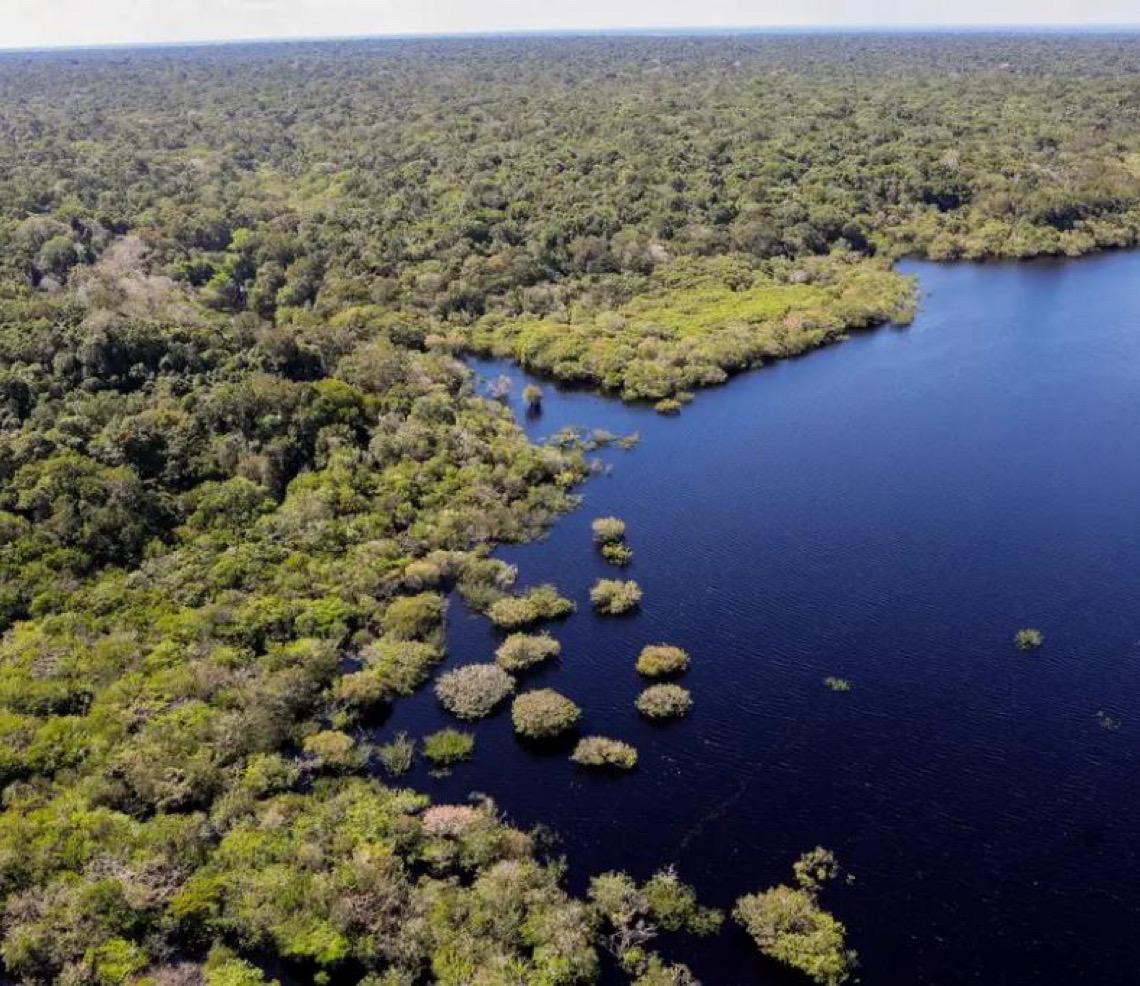 Amazônia e Cerrado registram queda de 11% no desmatamento