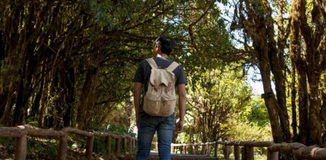 Ministério do Turismo fortalece ações em Parques Nacionais para promover o turismo sustentável