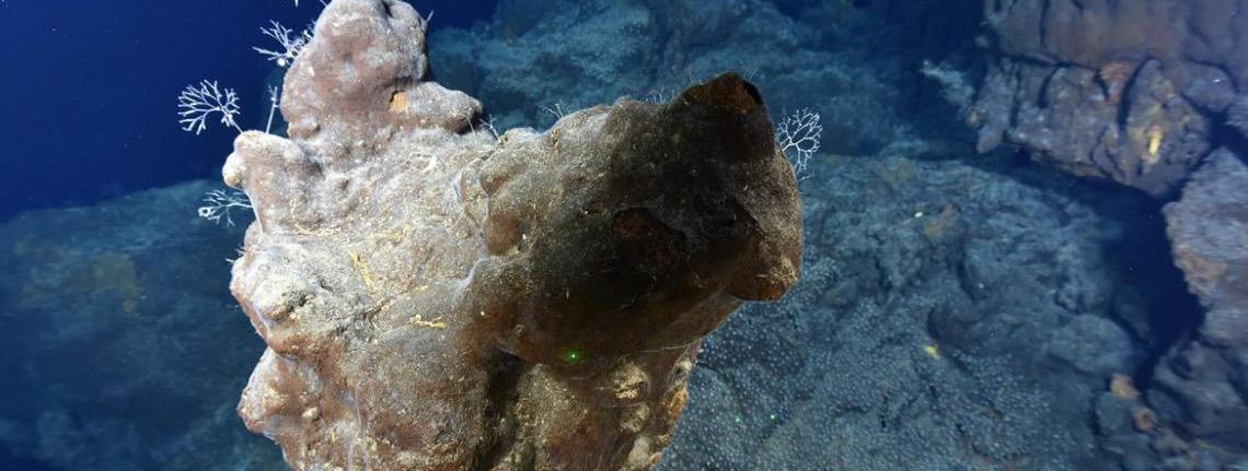 Mundo celebra primeiro Dia Internacional dos Fundos Marinhos Profundos
