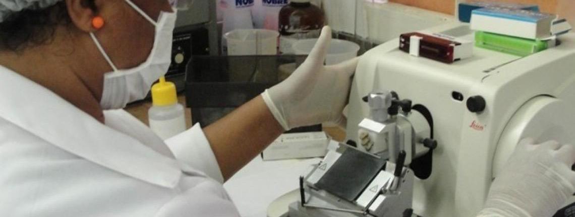 Pesquisa apoiada pela FAPDF abre caminho para novas terapias contra o câncer de cabeça e pescoço