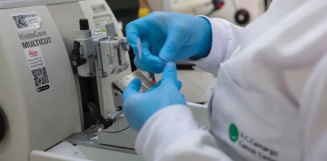 Câncer de próstata mata 48 homens por dia no Brasil, apesar de alta chance de cura