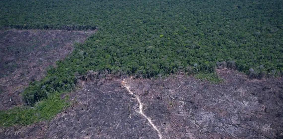 Brasil pode antecipar para 2040 a neutralidade de emissões de CO2