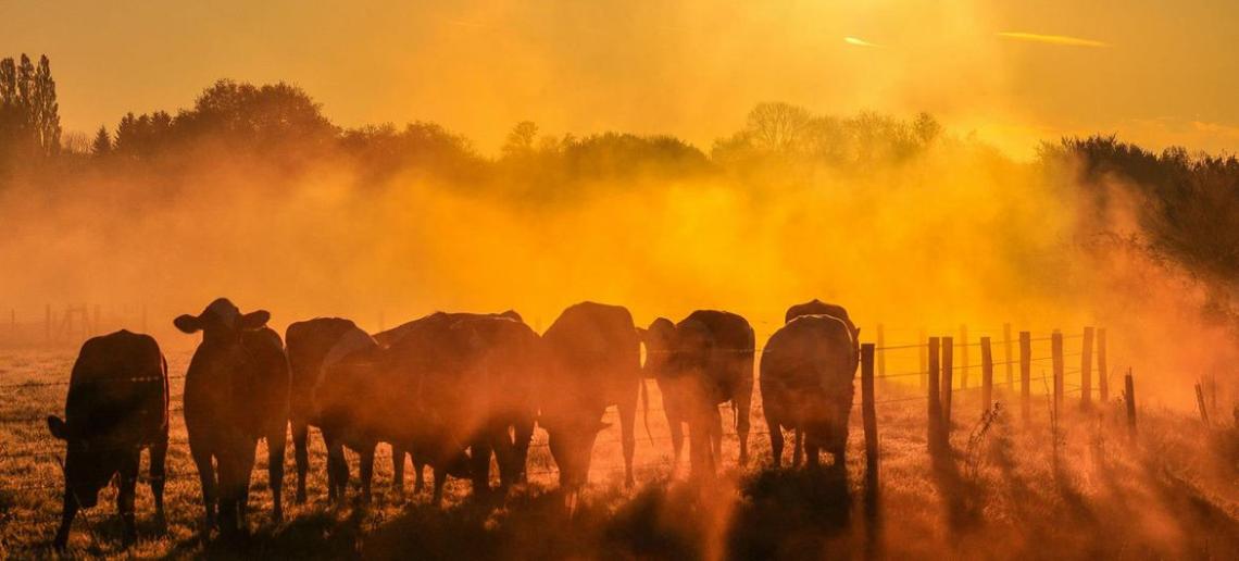 Agência aponta 2025 como segundo ou terceiro ano mais quente já registrado