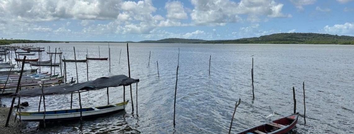 Gastronomia paraense ganha palco na grande conferência mundial do clima