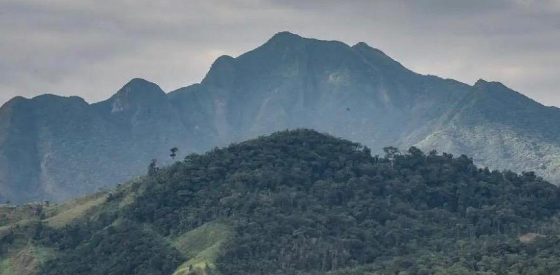 SOS Mata Atlântica mobiliza setor privado para conservação do bioma