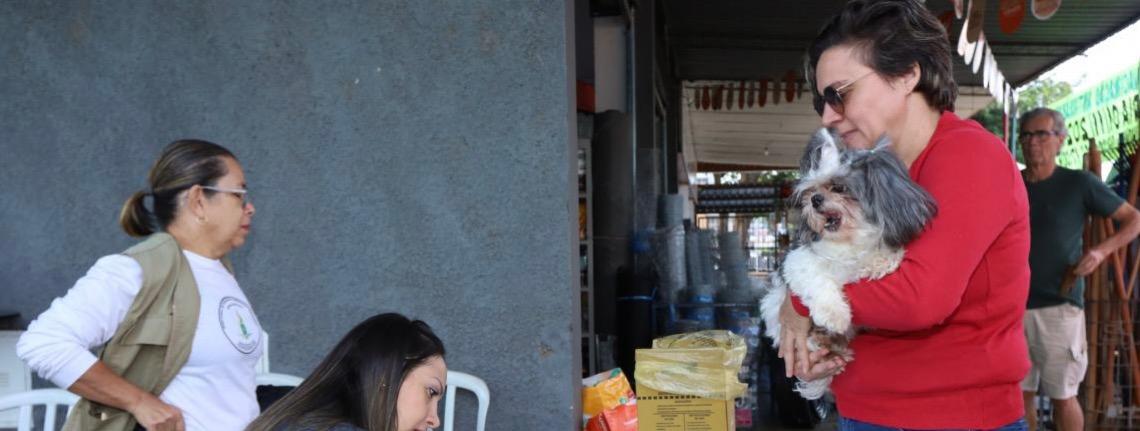 Campanha antirrábica: Saúde vacina 53 mil animais em outubro