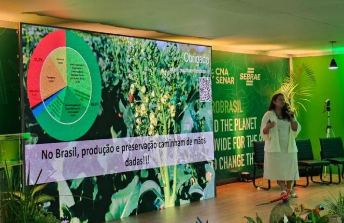 Maior parte da vegetação nativa do Brasil está em fazendas privadas, diz estudo da Embrapa