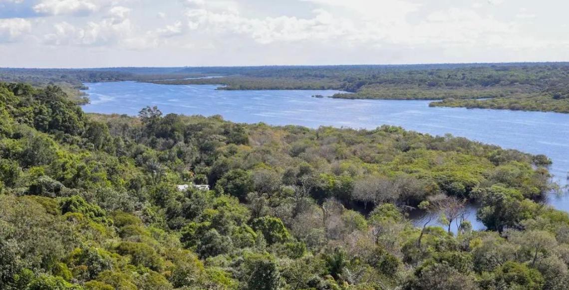 COP30: Países amazônicos anunciam monitoramento conjunto da floresta