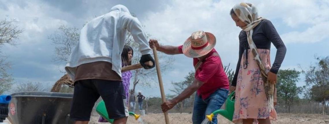 Desastres naturais custaram US$ 3,26 trilhões à agricultura global em três décadas, diz FAO