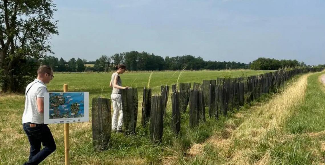 Floresta em pé: Lavoura e árvores reduzem impacto de mudança climática