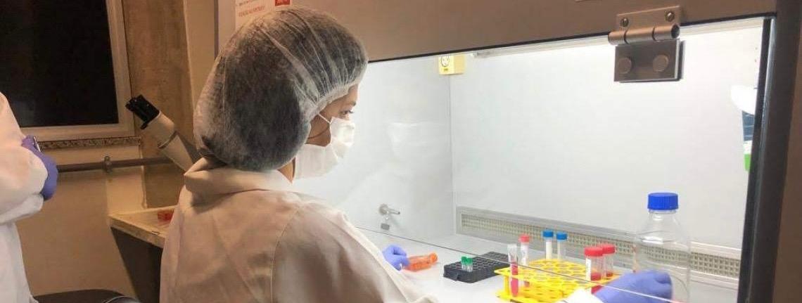 Em pesquisa apoiada pela FAPDF, vacina avança como alternativa contra câncer de mama agressivo