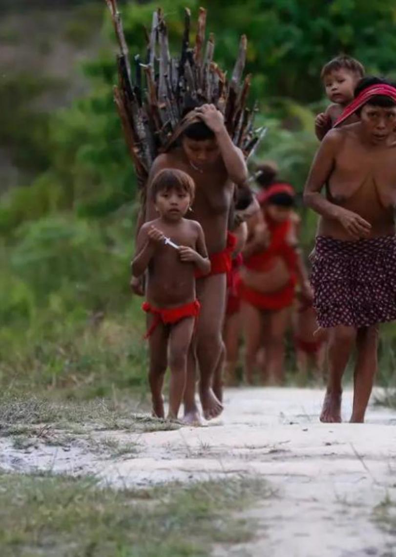 Funai alerta que queda de vetos do PL de Licenciamento ameaça terras indígenas