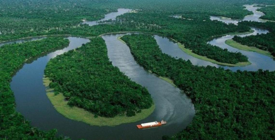 Brasil anuncia 3,4 milhões de hectares em processo de restauração de mata nativa