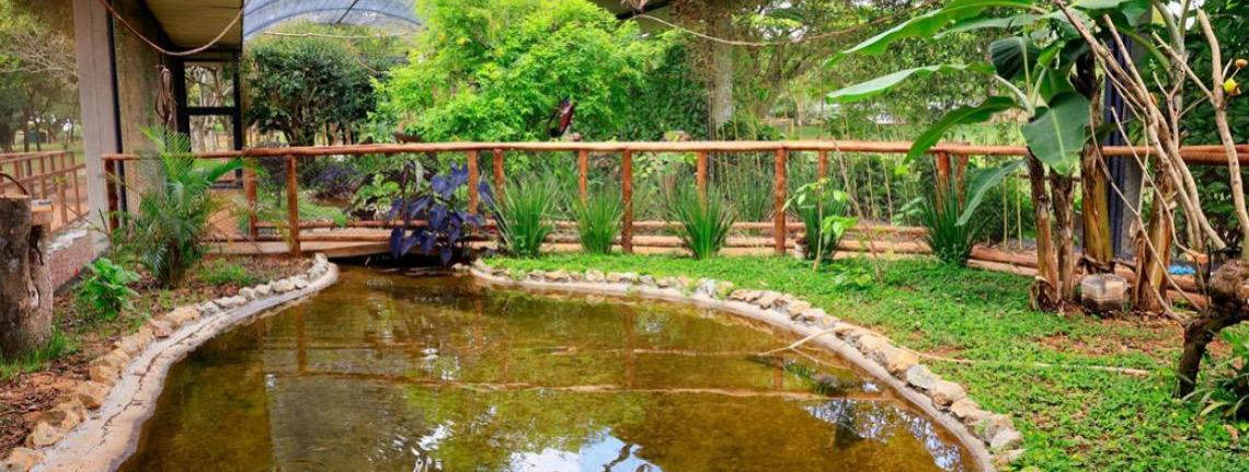 Jardim Zoológico de Brasília celebra 68 anos com programação especial e entrada gratuita