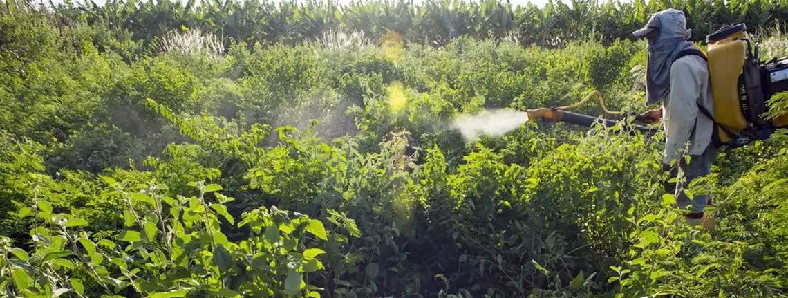 Campanha Permanente Contra os Agrotóxicos e Pela Vida denuncia agronegócio por contaminações com uso de agrotóxicos 