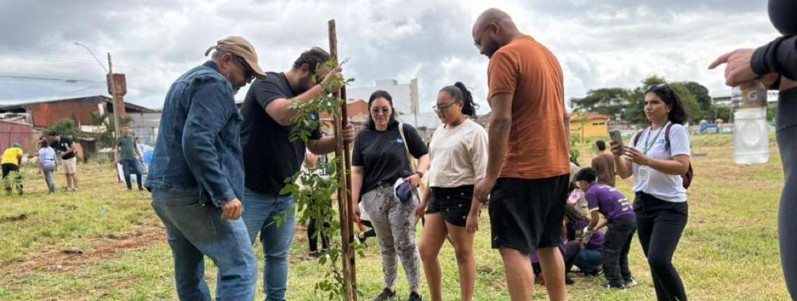 Distrito Federal planta 15 mil mudas nativas do Cerrado em ação integrada neste domingo