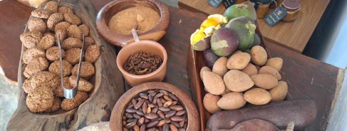 Estudo inédito do IPEDF inclui frutos do Cerrado na alimentação escolar no Distrito Federal