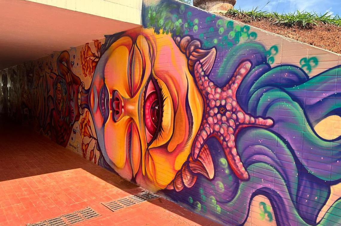 Painel de grafiteiros do DF dá cara nova à passagem subterrânea da 103/104 Norte