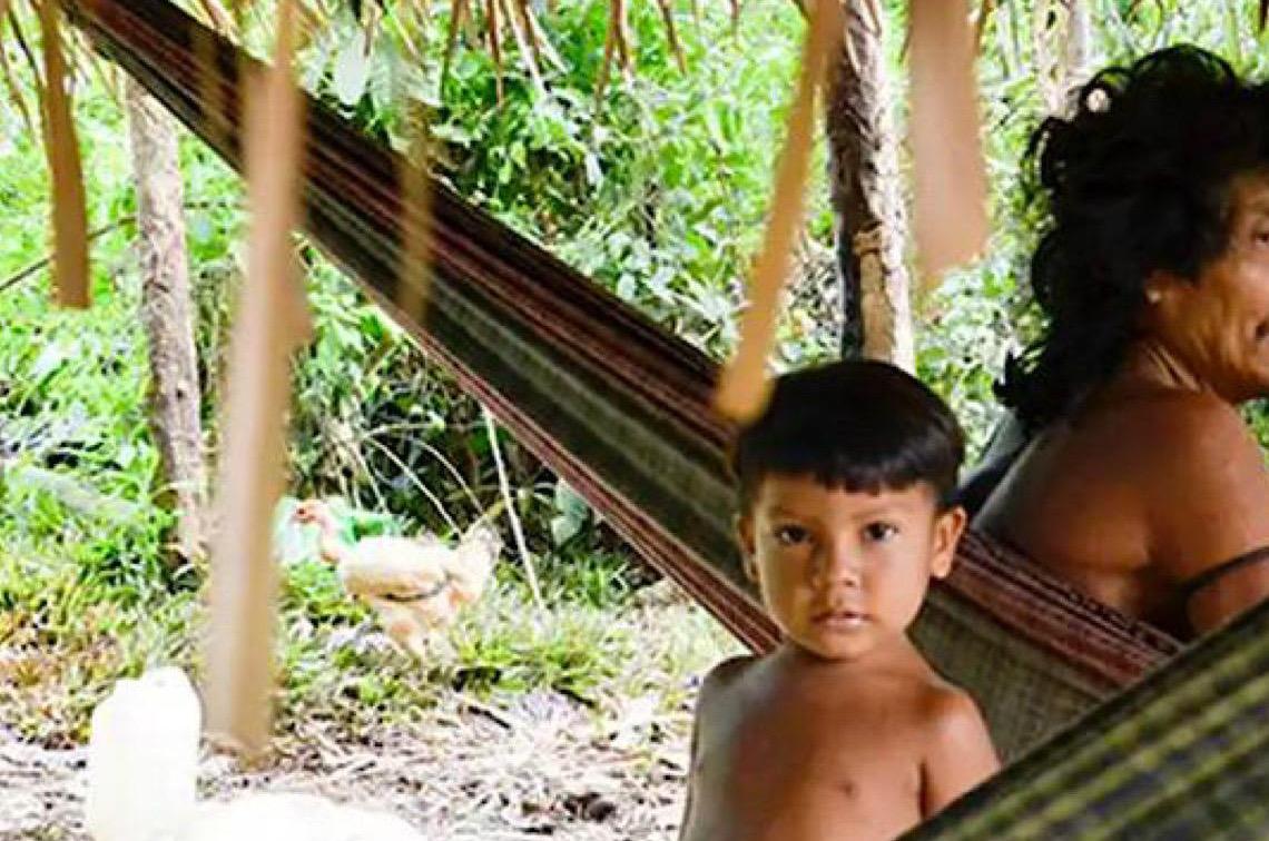 Brasil lidera número de povos isolados, mas há lacunas na proteção 