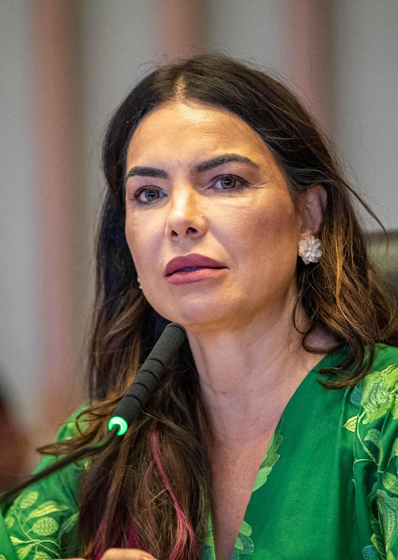 Relatório final da CPI apresenta plano para revitalizar o Rio Melchior