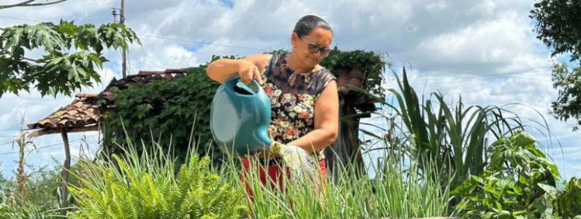 Pesquisa sobre o Programa Fomento Rural aponta aumento em 30% na renda familiar de beneficiados