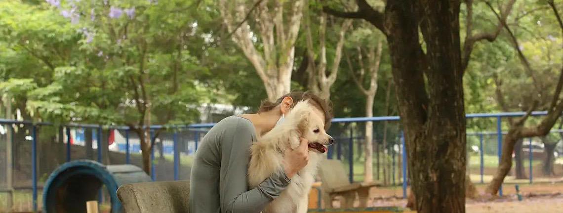 Cade aprova fusão entre as lojas Petz e Cobasi com restrições