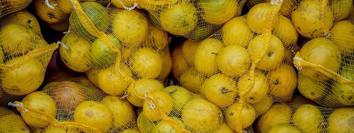 Pepino e laranja são os alimentos campeões de agrotóxicos em nova análise da Anvisa