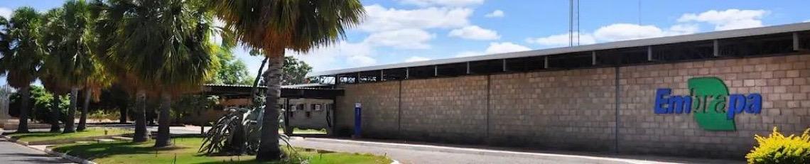 GuardeÁgua; aplicativo gratuito da Embrapa ajuda a planejar barragens no semiárido brasileiro