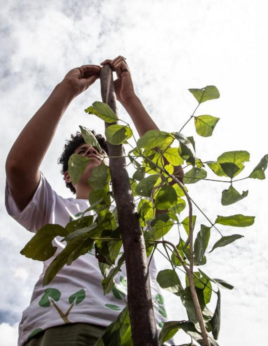 Secretaria coloca o DF como referência em proteção ao bioma Cerrado
