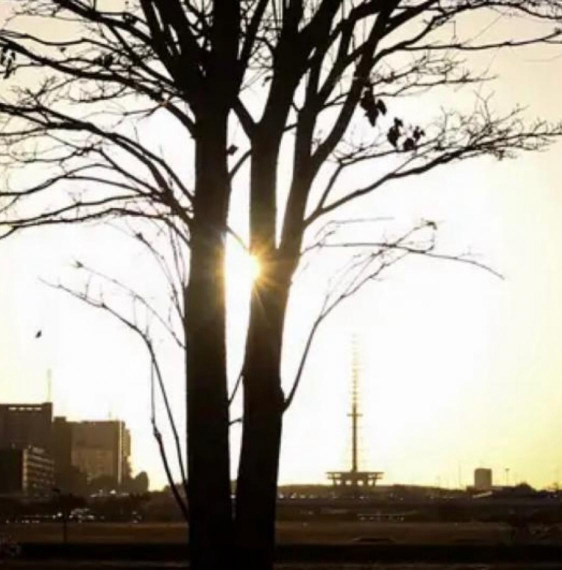 Duas pesquisadoras da Uerj participam do seleto grupo do IPCC da ONU 