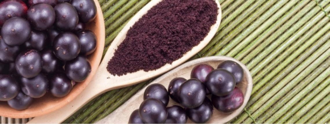 Típicas da amazônia, culturas do açaí e do cacau se adaptam ao interior paulista