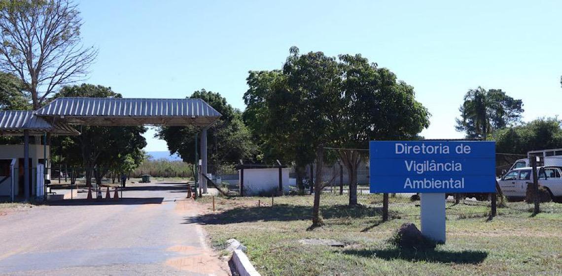 Zoonoses recolheu no DF quase mil corpos de animais em 2025